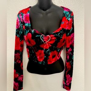 Rose Velvet Crop Top Long Sleeve